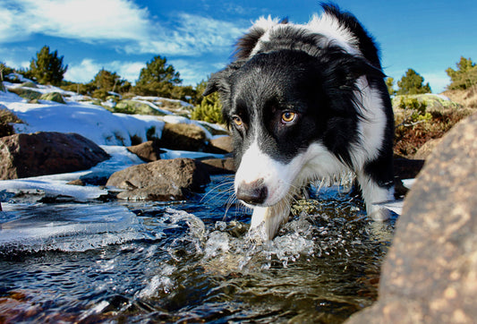 Keeping Cool this Summer