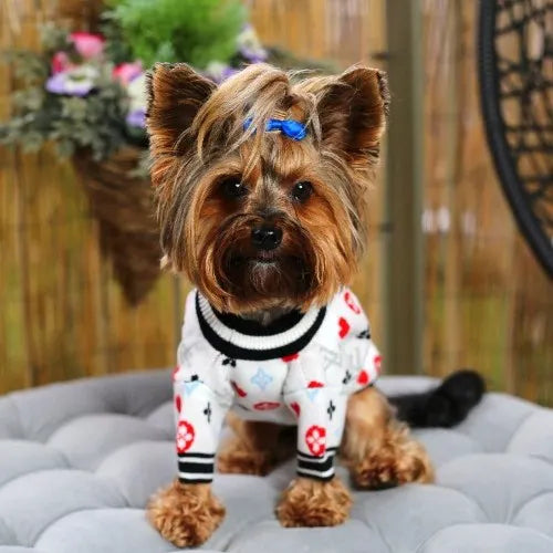 Shop designer outfits for your pup