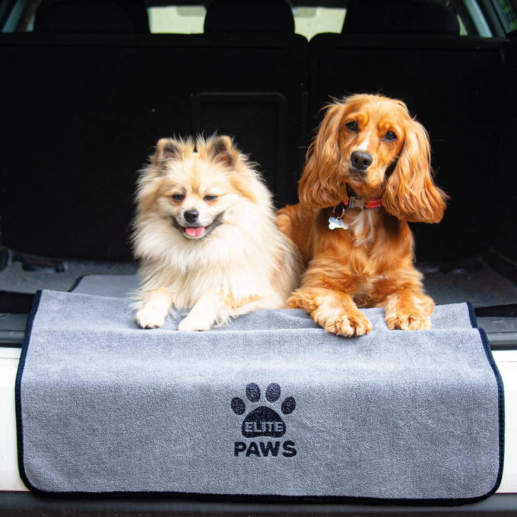 Shop our soft and snuggly dog towels and blankets perfect for use after that muddy walk
