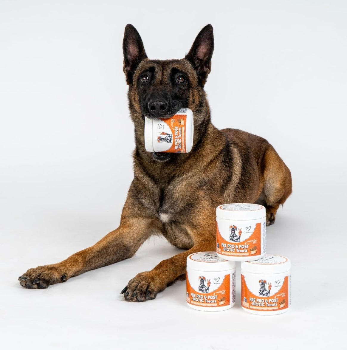 NutriPaw Pre, Pro & Postbiotic Digestive Treats For Dogs