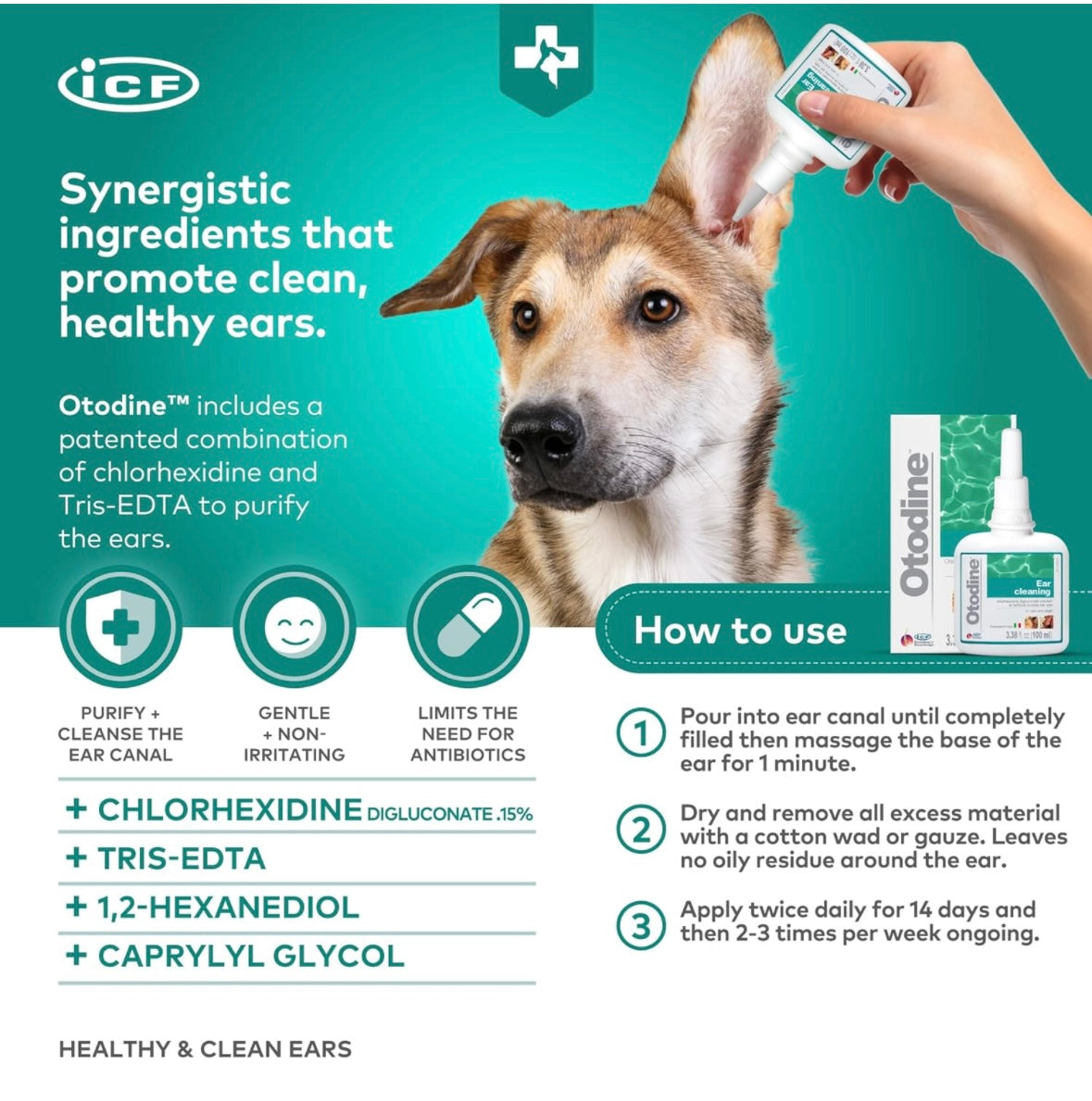Dog Ear Cleaning a fast acting solution to relieve ear problems