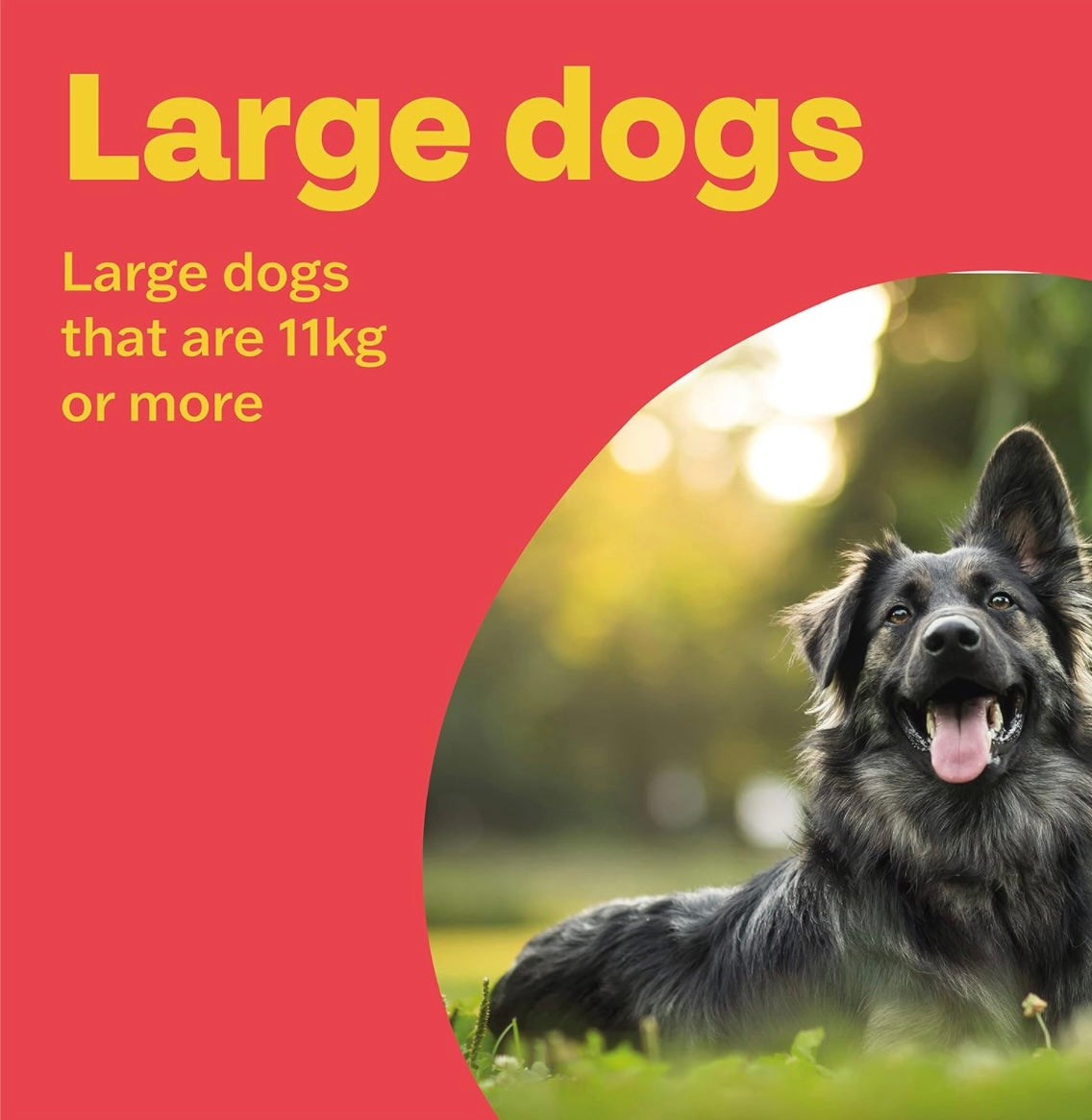 Flea Tablets for Large Dogs