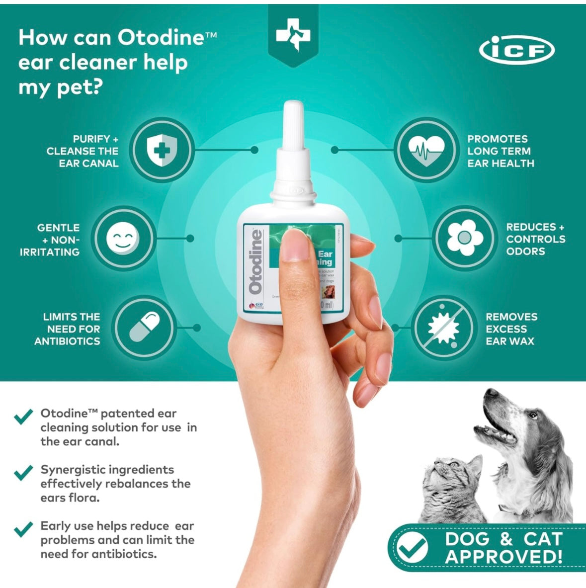 Dog Ear Cleaning a fast acting solution to relieve ear problems