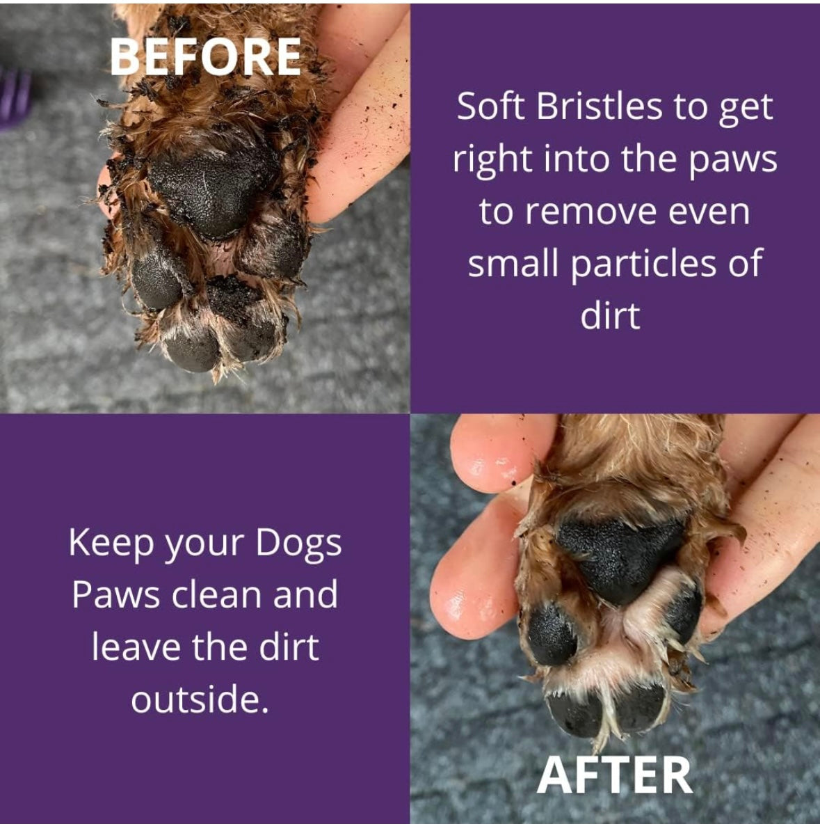 Dog Paw cleaner - The ultimate dog paw cleaner by paw buddy