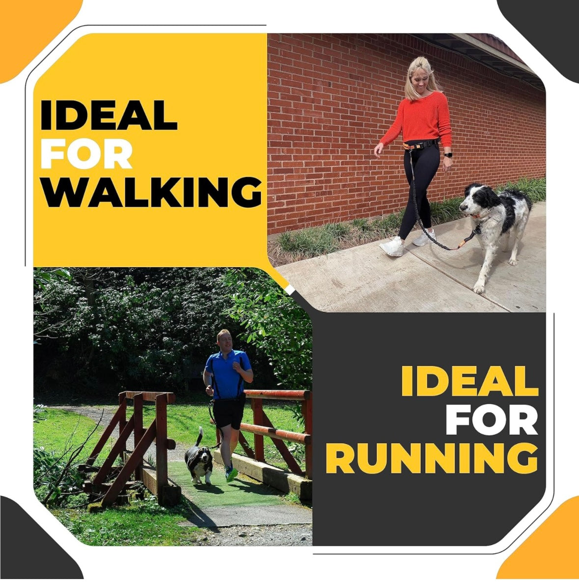 Running Dog Lead with Waist Belt - Hands free