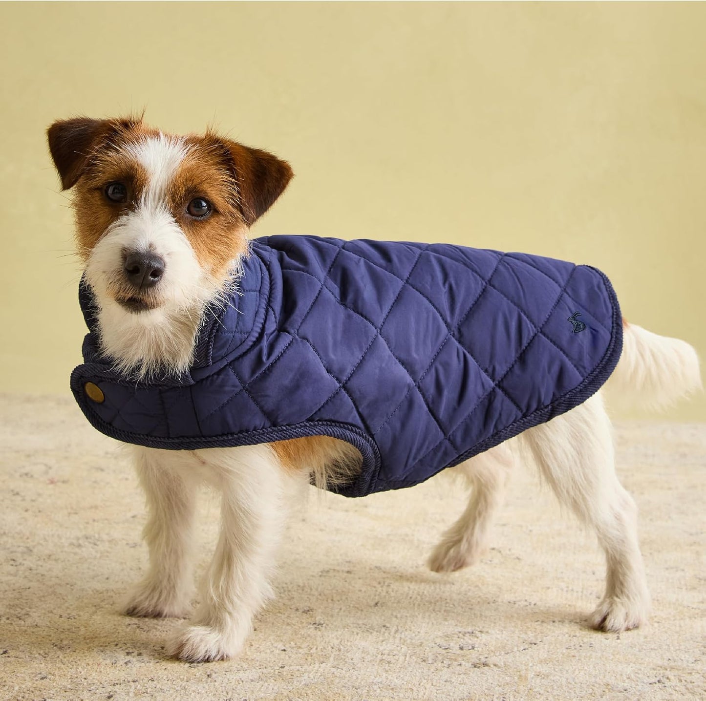 Quilted Dog Coat