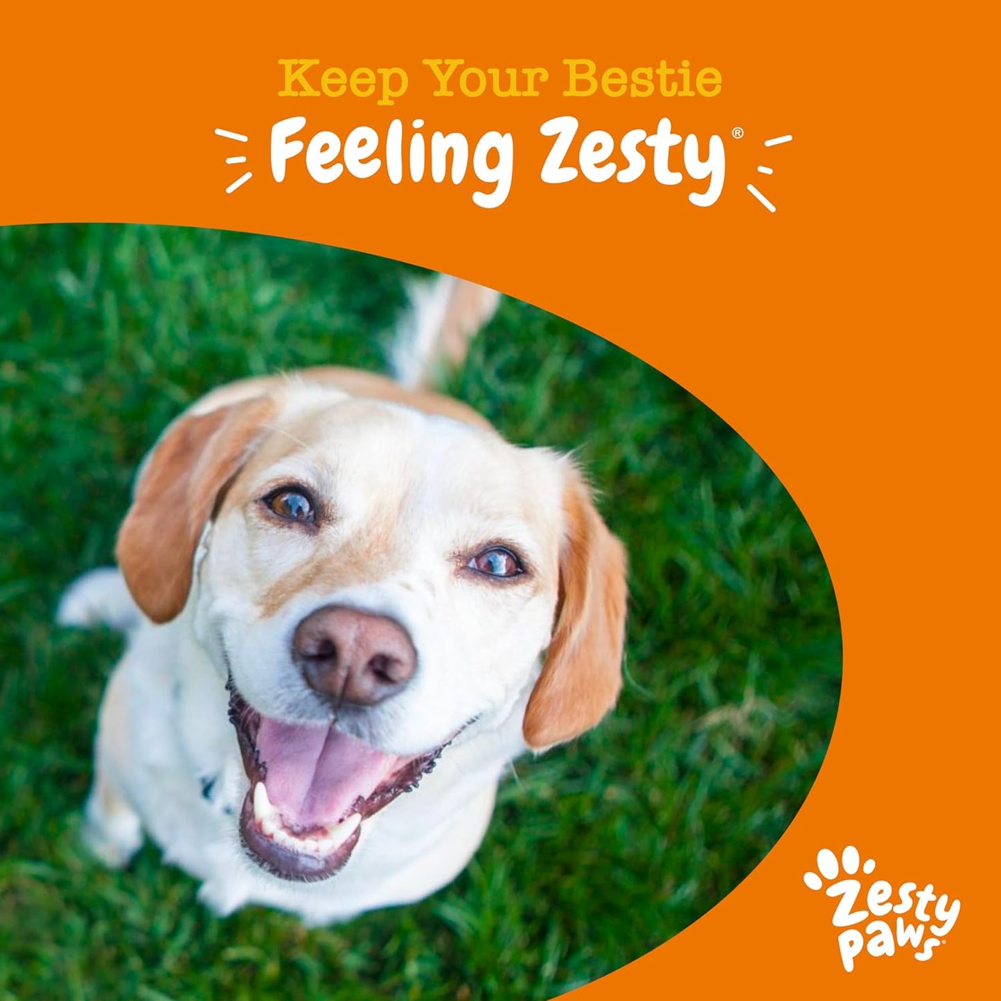 Zesty Paws Calming Chews for Dogs