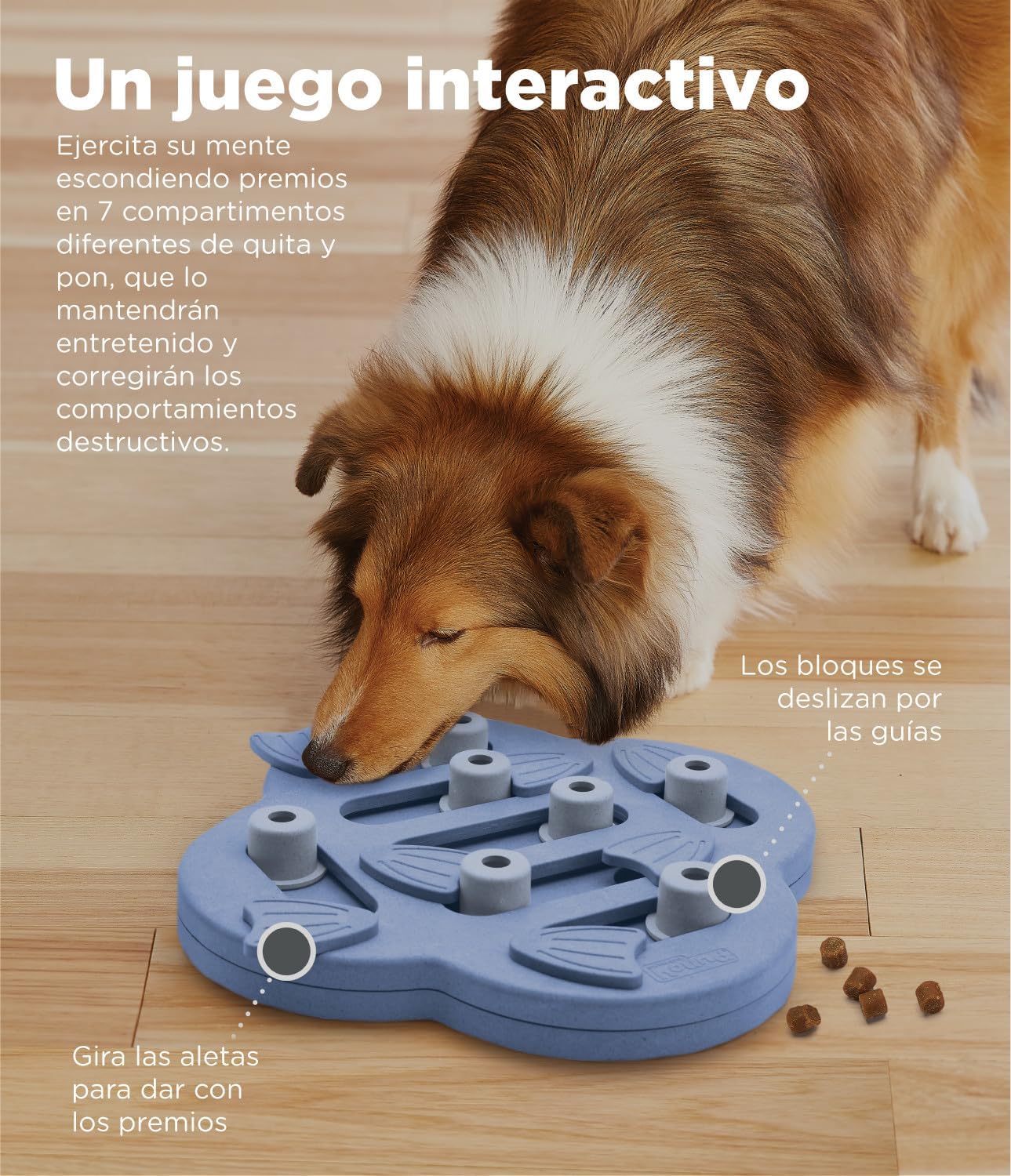 Outward Hound Nina Ottosson Dog Hide N' Slide Purple Interactive Treat Puzzle Dog Toy