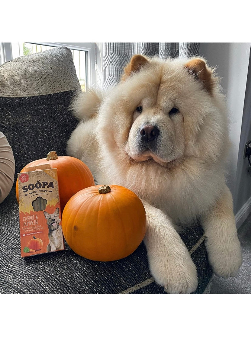 Soopa Pumpkin and Carrot Dental Sticks Dog Treat, 100 g