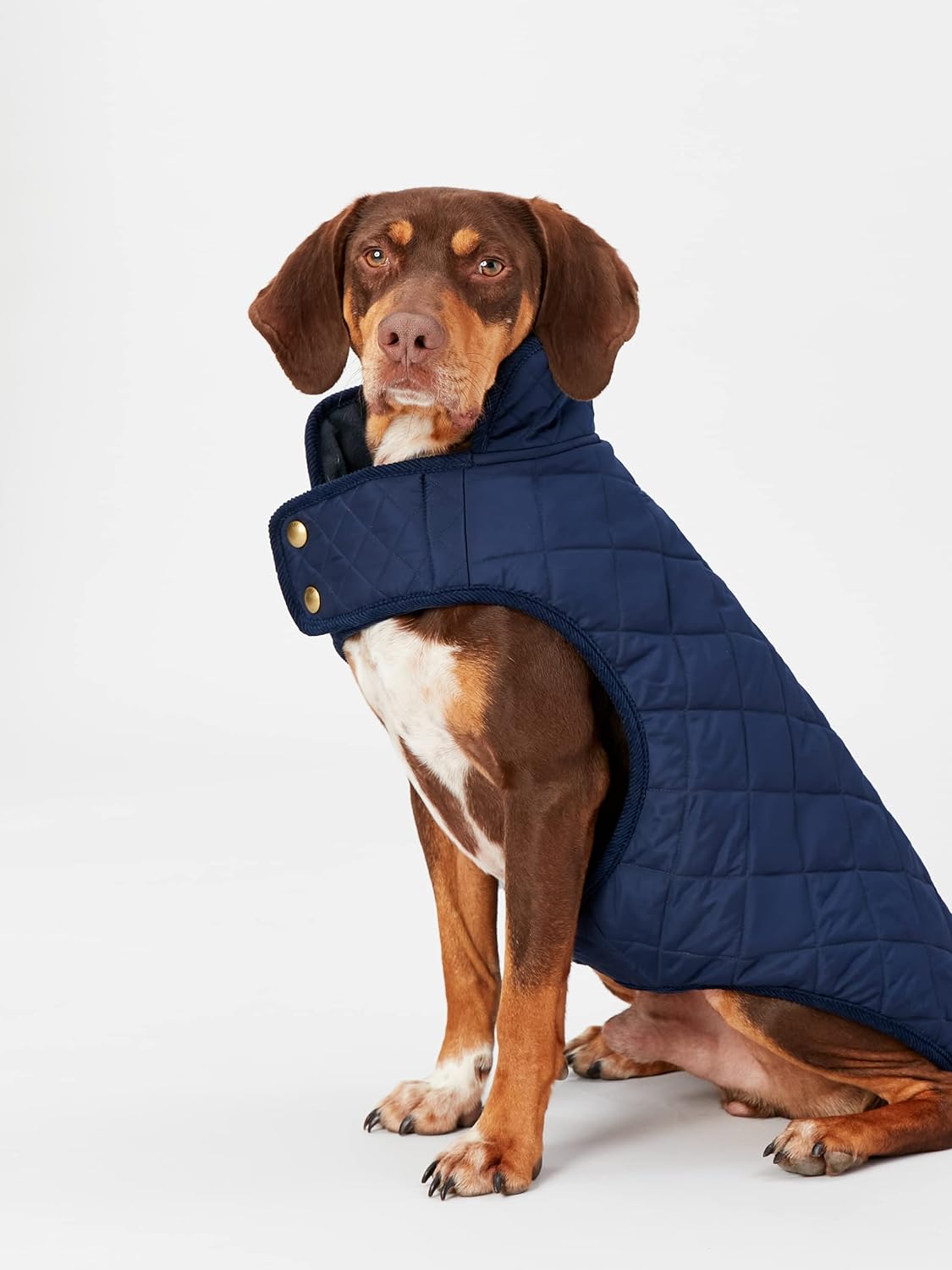 Joules Navy Blue Quilted Dog Coat