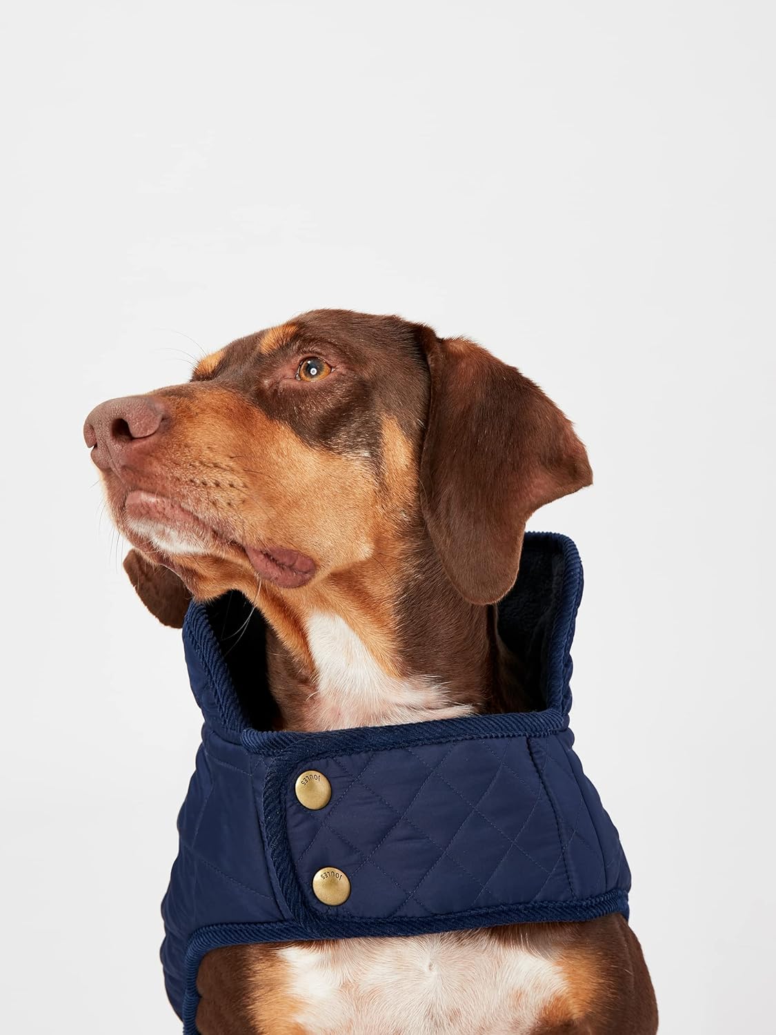 Joules Navy Blue Quilted Dog Coat