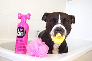 Pet Head Dog Shampoo 475ml, Orange Scent