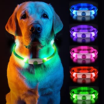 Dog Collar light up