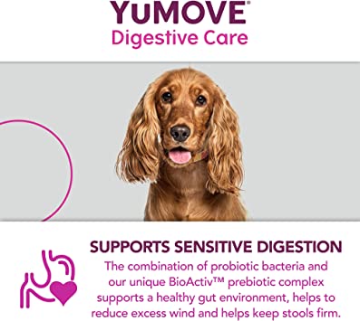 Lintbells YuMOVE Digestive Care for All Dogs