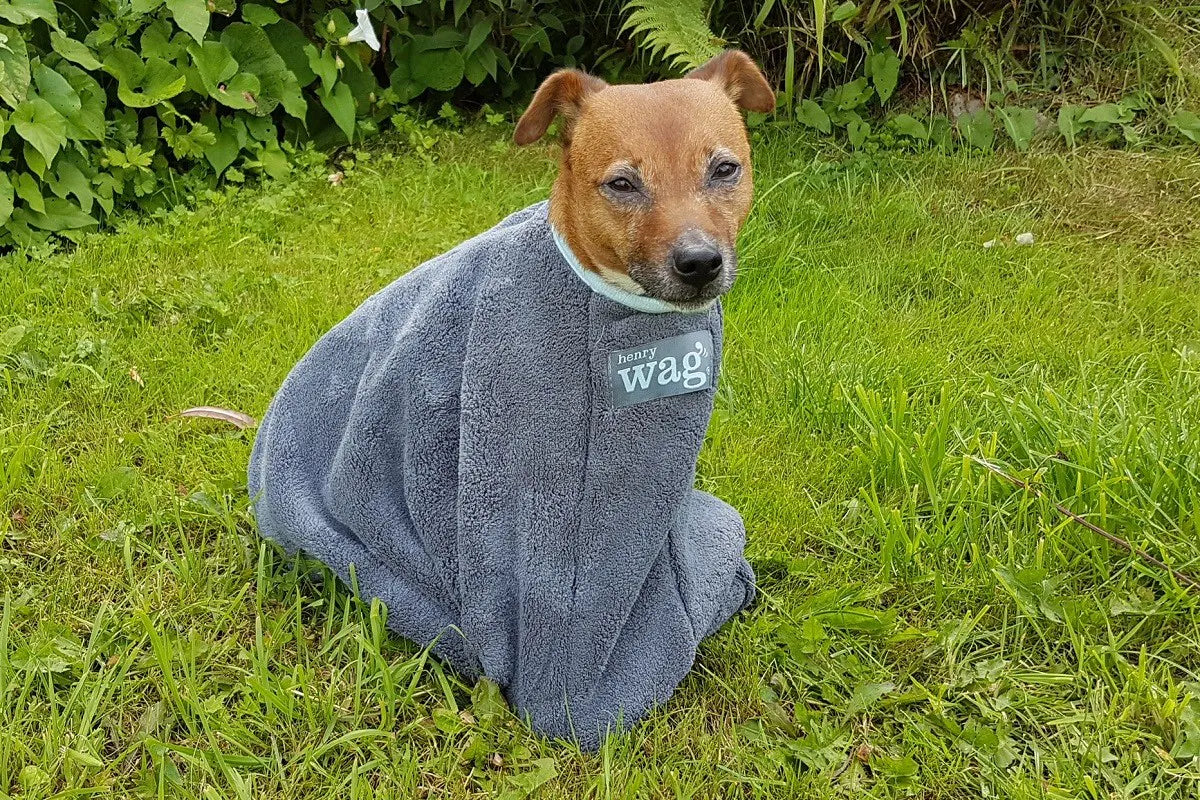 Dog Drying Coat towel