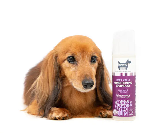 Dog Shampoo calming 250ml