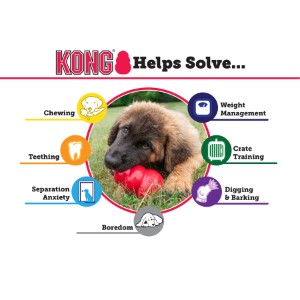 KONG Puppy toy