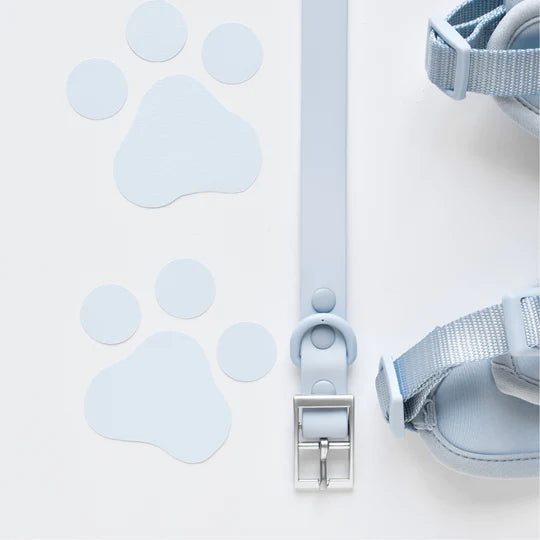 Designer Dog collar pastel blue