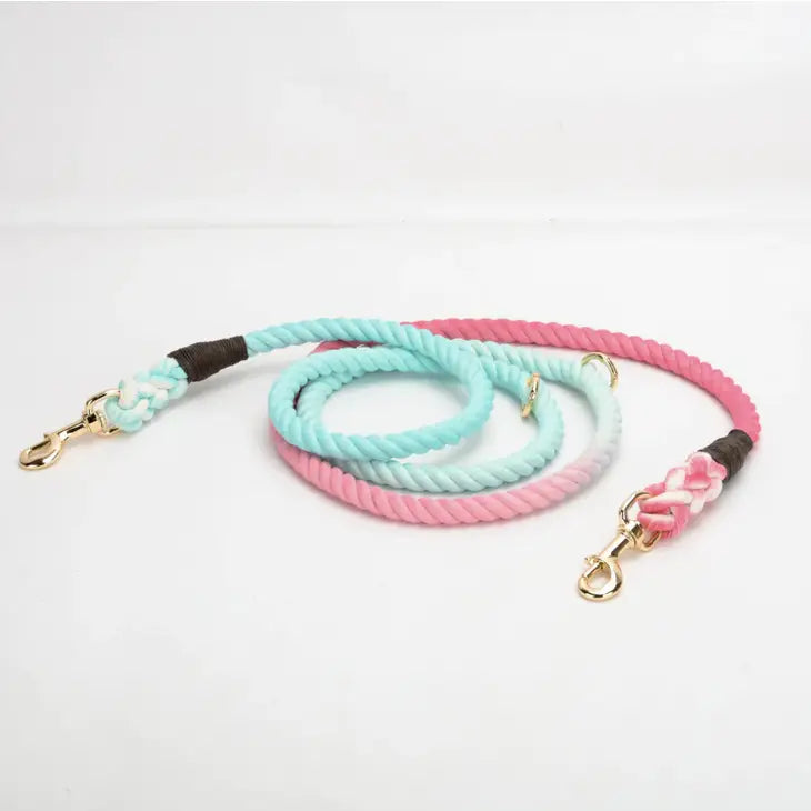 Dog Lead double ended - pastel powder