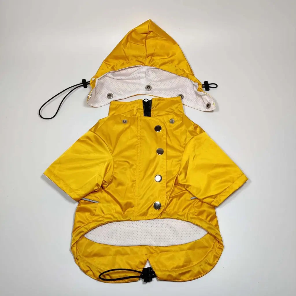 Yellow Dog Raincoat