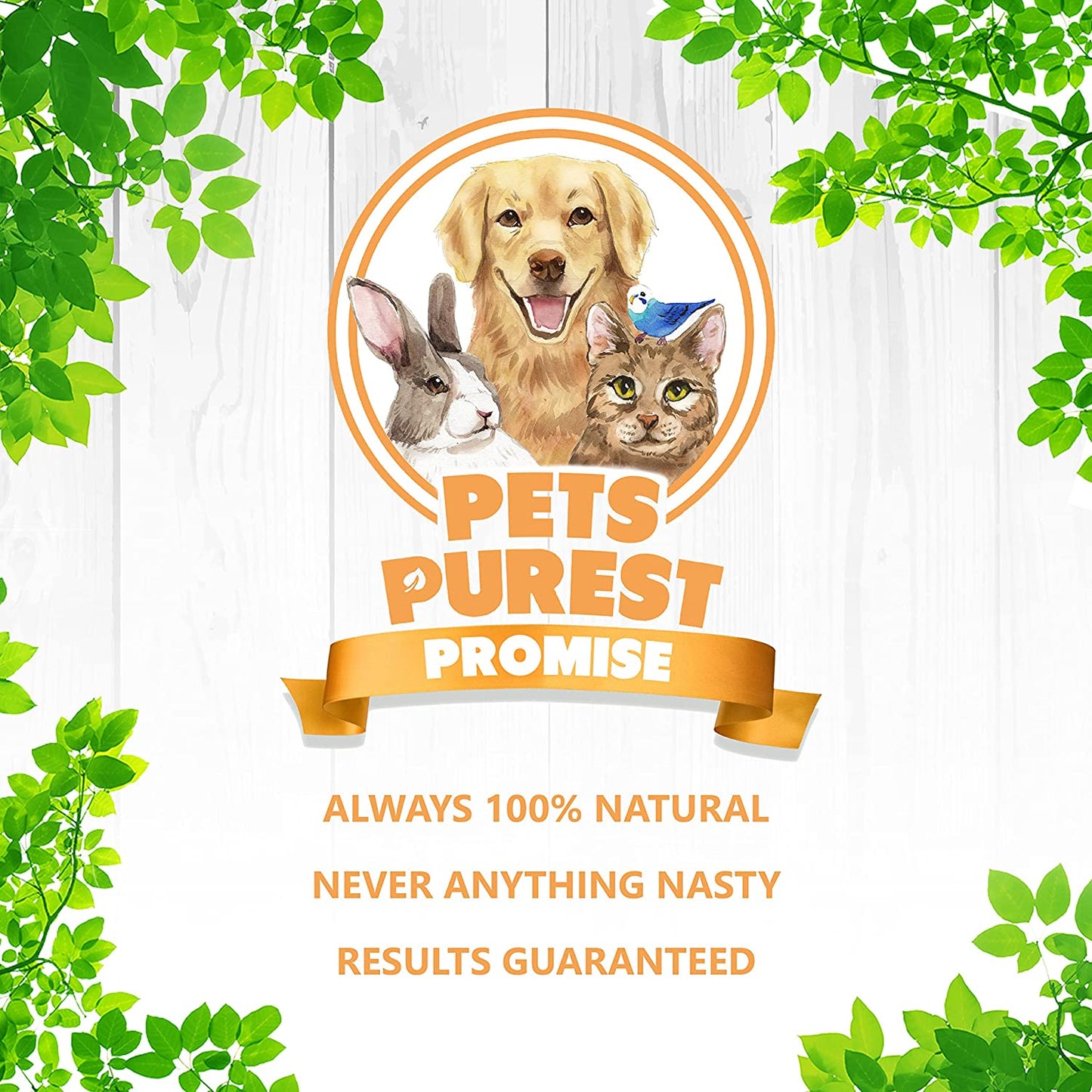 100% Natural dog treats Pets Purest Sprats