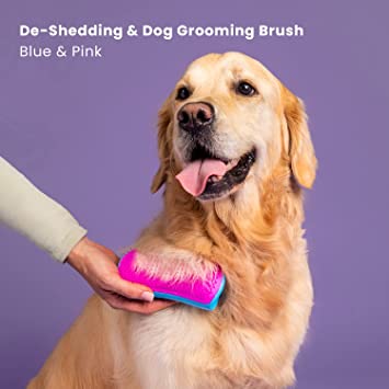 Pet Teezer De-Shedding and Dog Grooming Brush
