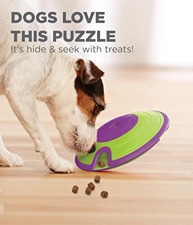 Treat Maze for dogs