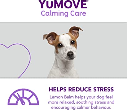 YuMOVE Calming Care for Adult Dogs | Calming Supplement